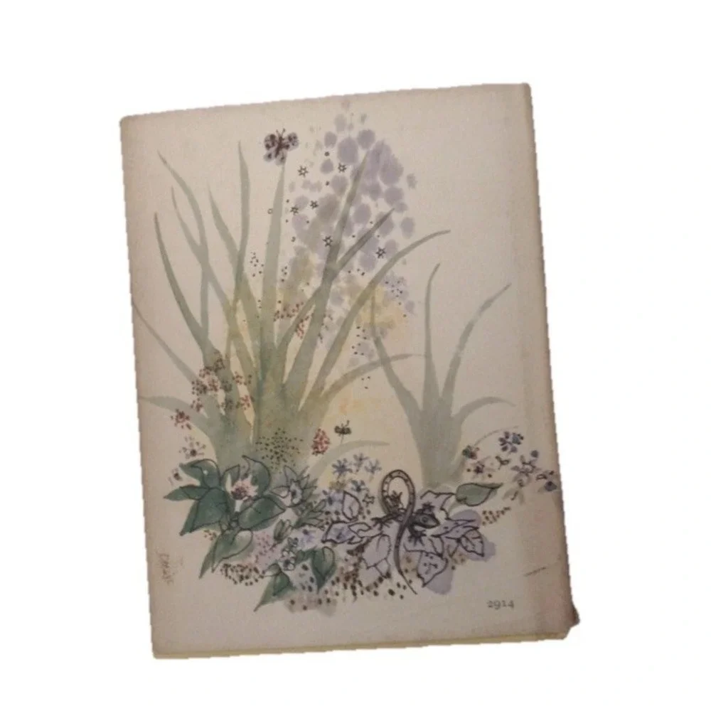 RARE Little Chameleon by Sylvia Cassedy Illustrated First Edition 1966 World Pub